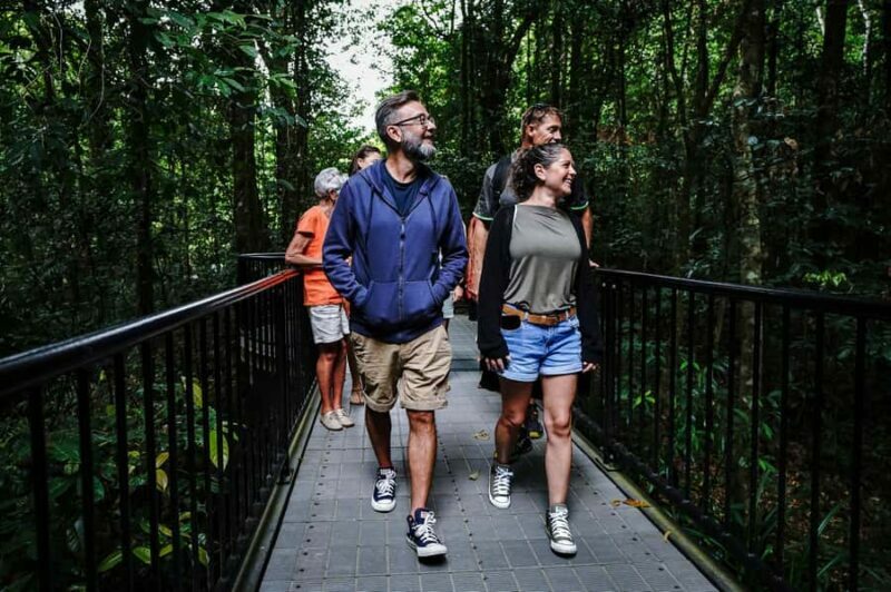 Port Douglas: Best of Daintree Rainforest Day Tour - Cape Tribulation: Where Rainforest Meets Reef