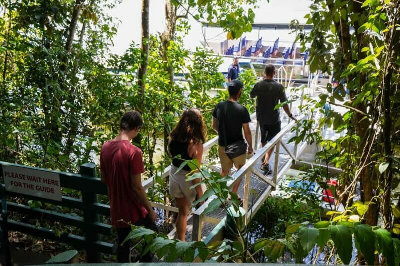 Port Douglas: Best of Daintree Rainforest Day Tour - Sweet Treats and the Lookout