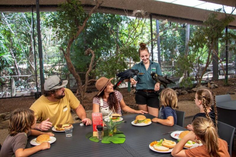 Port Douglas: Breakfast With the Birds - Koala Photo Session Discount