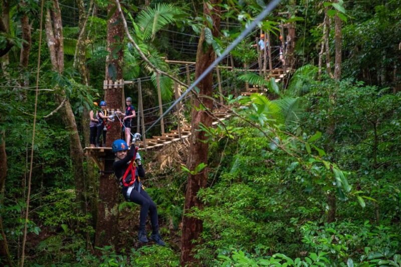 Port Douglas: Daintree National Park Ziplining & Cruise - Key Points