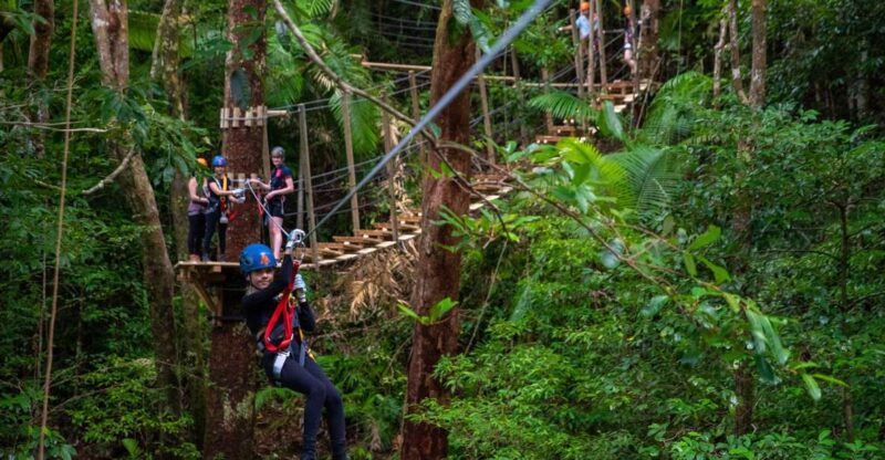 Port Douglas: Daintree National Park Ziplining & Cruise - Activities and Inclusions