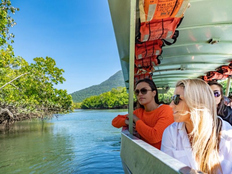 Port Douglas: Daintree National Park Ziplining & Cruise - Zipline Tour