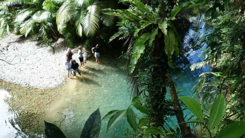 Port Douglas: Daintree Rainforest and Cape Tribulation Tour - Why This Tour Offers Excellent Value