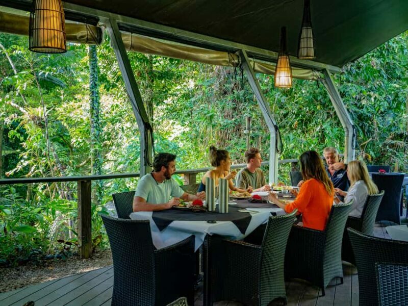 Port Douglas: Daintree Rainforest and Cape Tribulation Tour - The Guides: The Heart of the Experience