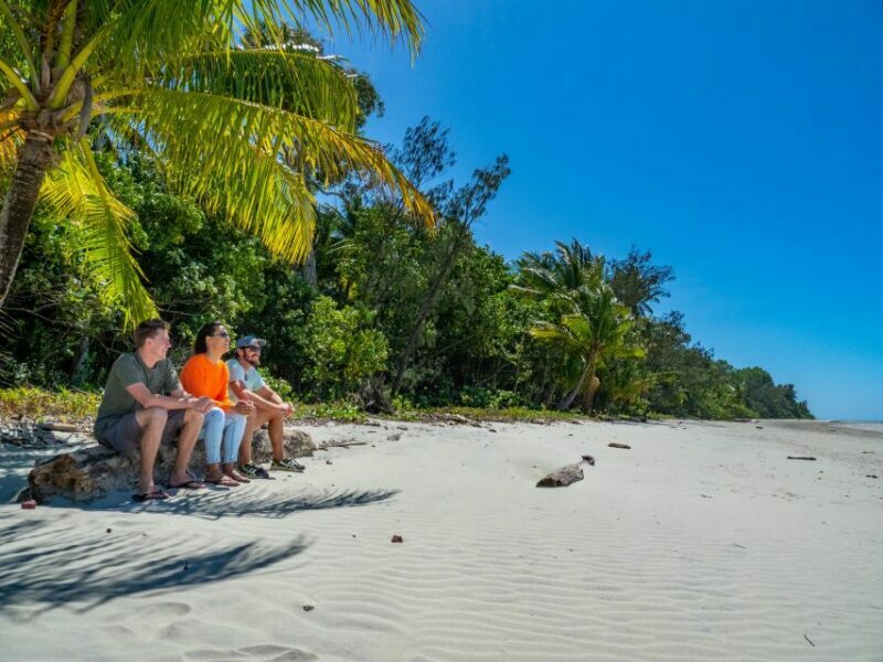 Port Douglas: Daintree Rainforest and Cape Tribulation Tour - Final Thoughts: Who Should Sign Up?