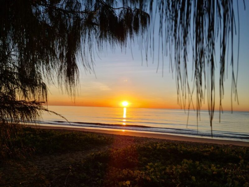 Port Douglas: Daintree Rainforest and Mossman Gorge Tour - Important Information