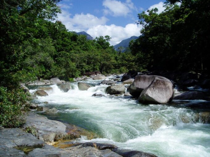Port Douglas: Daintree Rainforest and Mossman Gorge Tour - Exploring Mossman Gorge