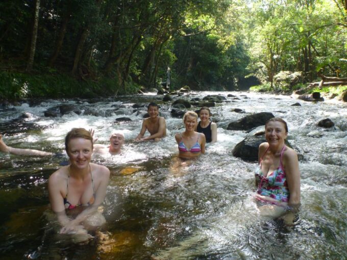 Port Douglas: Daintree Rainforest and Mossman Gorge Tour - Discovering Cape Tribulation