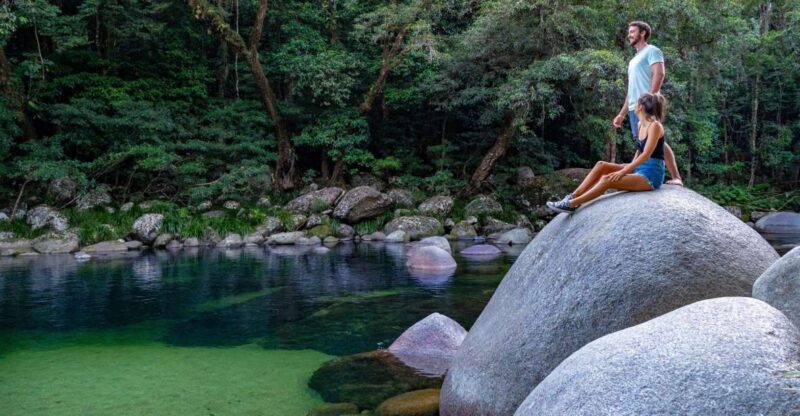Port Douglas: Daintree Rainforest and Mossman Gorge Tour - Discover Daintree Rainforest