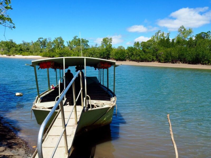 Port Douglas: Daintree Rainforest and Mossman Gorge Tour - Daintree River Cruise