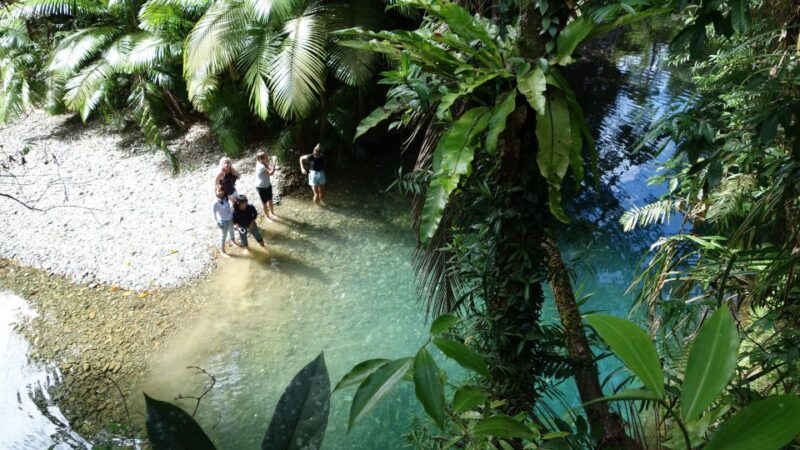 Port Douglas: Daintree Rainforest and Mossman Gorge Tour - Port Douglas Wildlife Habitat