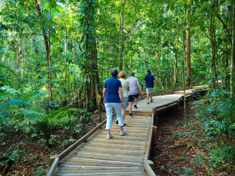 Port Douglas: Daintree Rainforest Canopy Ziplining Tour - Safety and Instruction