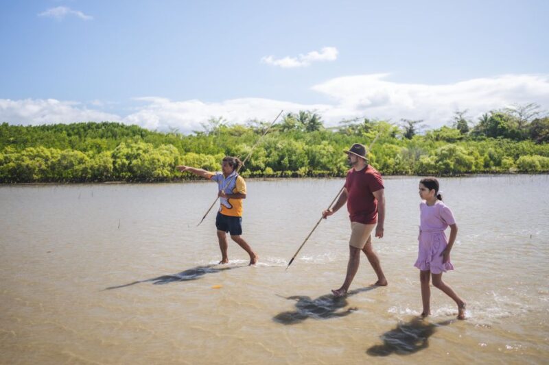 Port Douglas: Full Day Daintree Cultural Tour With Lunch - Key Points