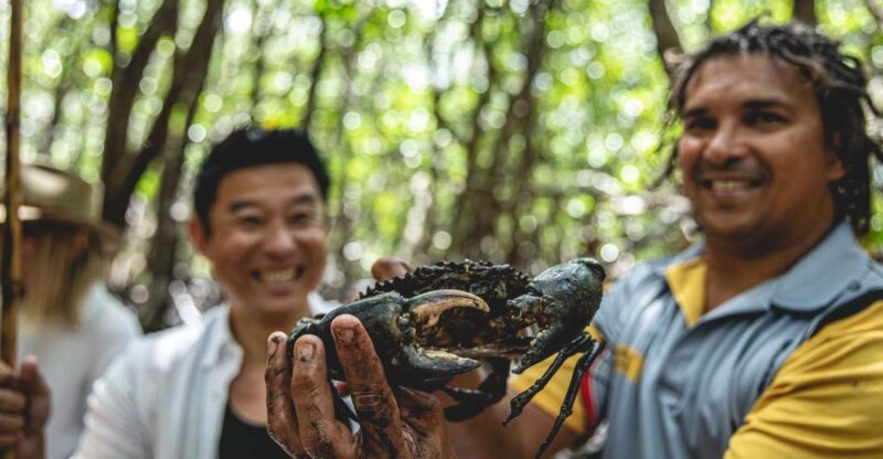 Port Douglas: Full Day Daintree Cultural Tour With Lunch - Highlights of the Day