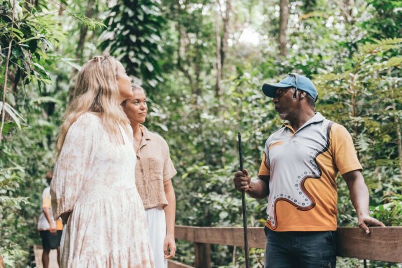 Port Douglas: Full Day Daintree Cultural Tour With Lunch - Mossman Gorge and Pristine Stream