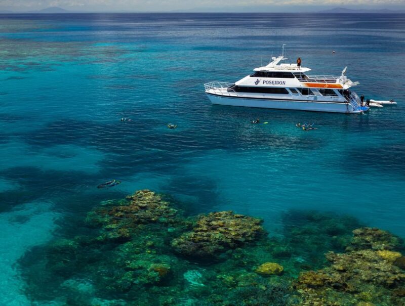 Port Douglas: Full-Day Outer Barrier Reef Dive and Snorkel - Included Amenities and Features
