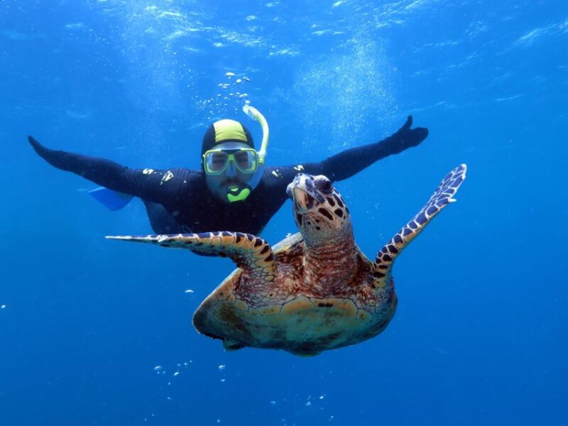 Port Douglas: Full-Day Outer Barrier Reef Dive and Snorkel - Tour Duration and Cancellation Policy