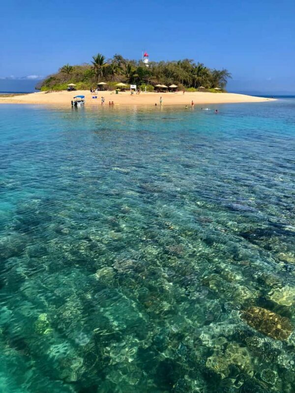Port Douglas: Half-Day Low Island and Lagoon Snorkeling Tour - The Experience in Context