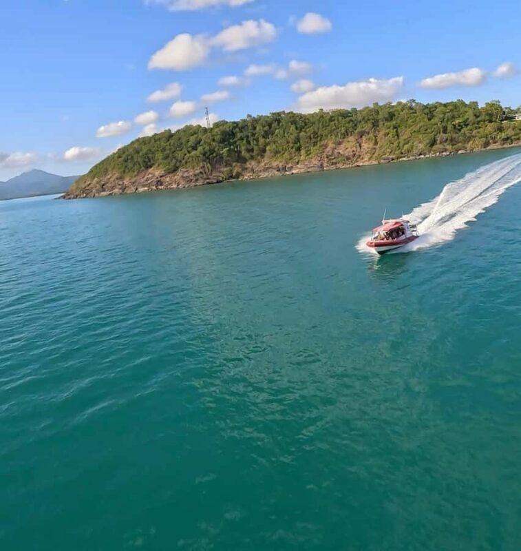 Port Douglas: Half Day Outer Reef Snorkelling Tour - Key Points