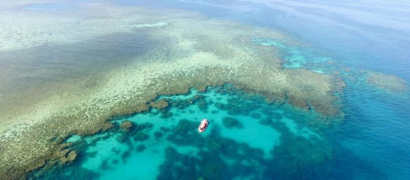 Port Douglas: Half Day Outer Reef Snorkelling Tour - What to Expect on This Reef Adventure