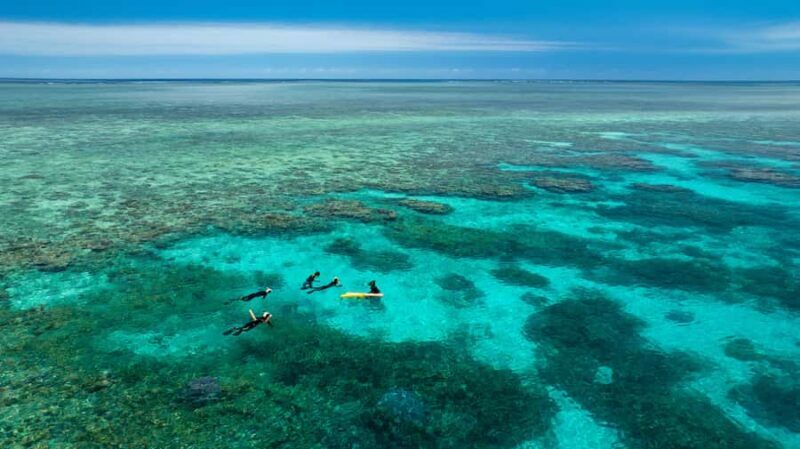 Port Douglas: Just 12 Passengers Guided Snorkel Reef Cruise - Key Points