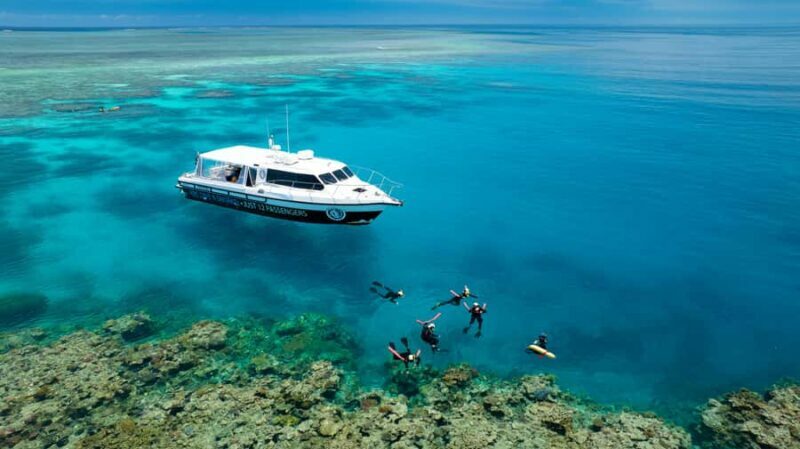 Port Douglas: Just 12 Passengers Guided Snorkel Reef Cruise - What Makes This Tour Stand Out?