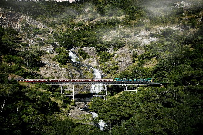 Port Douglas: Kuranda Tour With Skyrail or Scenic Train - Reviews and Experiences