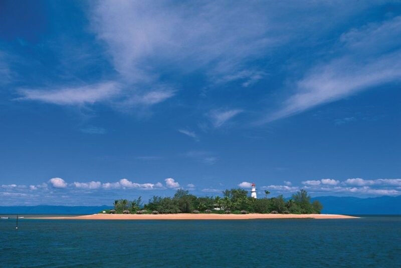 Port Douglas: Low Isles Afternoon Cruise on Luxury Catamaran - Snorkeling and Reef Viewing
