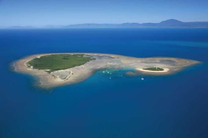 Port Douglas: Low Isles Afternoon Cruise on Luxury Catamaran - Restrictions and Reviews