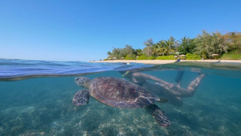 Port Douglas: Low Isles Glass Bottom Boat & Snorkeling Tour - Glass Bottom Boat Experience