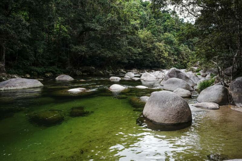 Port Douglas: Morning Daintree Tour w/ Wildlife Cruise - Who Will Love This Tour?