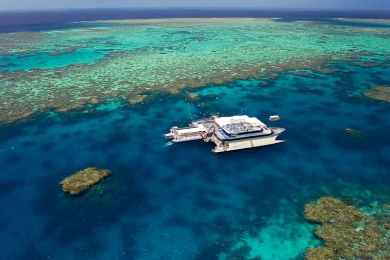 Port Douglas: Outer Barrier Reef Cruise & 10 Min Helicopter - Key Points