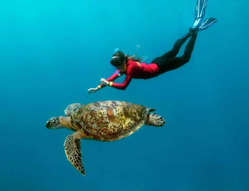Port Douglas: Outer Barrier Reef Cruise & 10 Min Helicopter - The Experience Through the Reviews