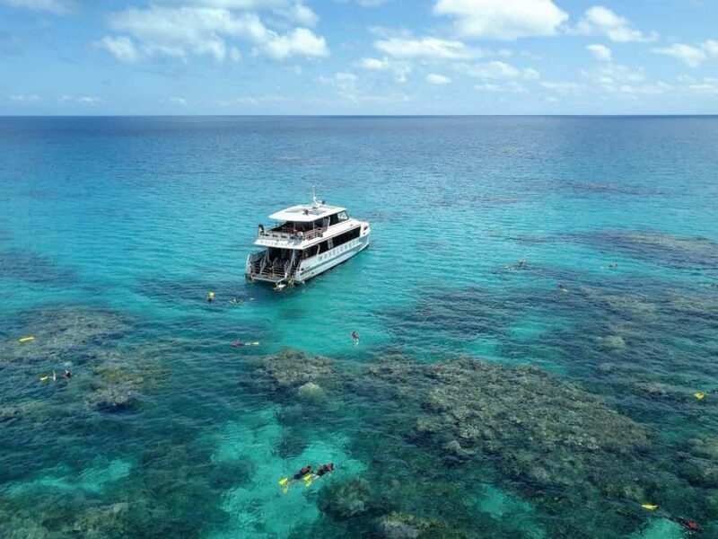 Port Douglas: Outer Great Barrier Reef Snorkeling Cruise - A Practical Look at the Experience