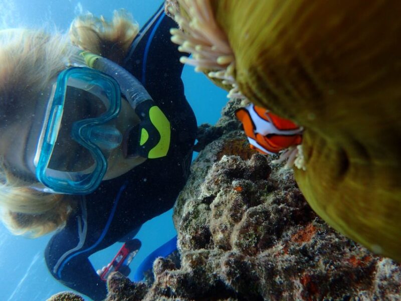 Port Douglas: Outer Great Barrier Reef Snorkeling Cruise - Reef Ecology Presentation