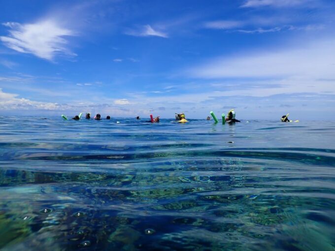 Port Douglas: Outer Great Barrier Reef Snorkeling Cruise - Frequently Asked Questions