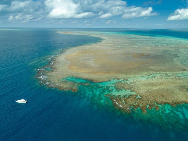 Port Douglas: Outer Reef Full-Day Snorkeling Tour - Key Points