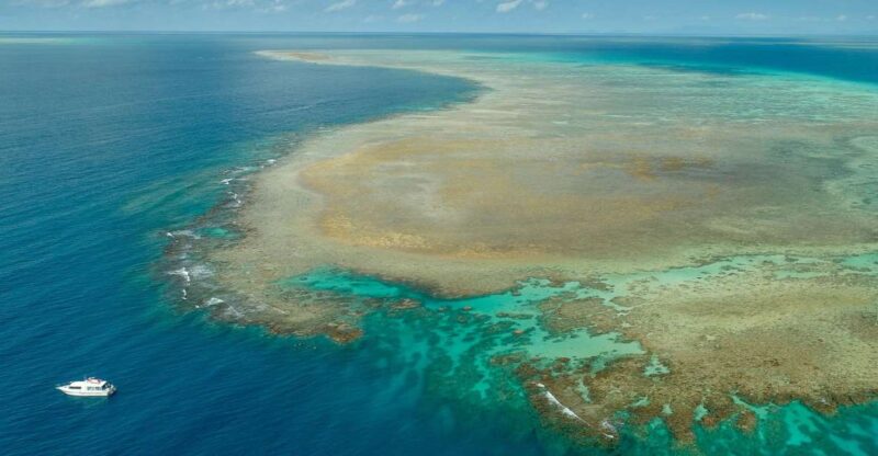 Port Douglas: Outer Reef Full-Day Snorkeling Tour - Included in the Tour
