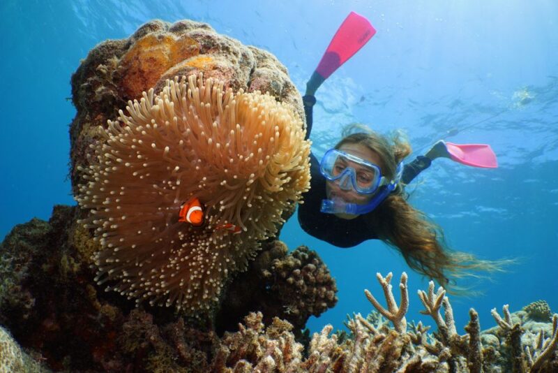 Port Douglas: Quicksilver Outer Barrier Reef Full-Day Cruise - Highlights of Agincourt Reef