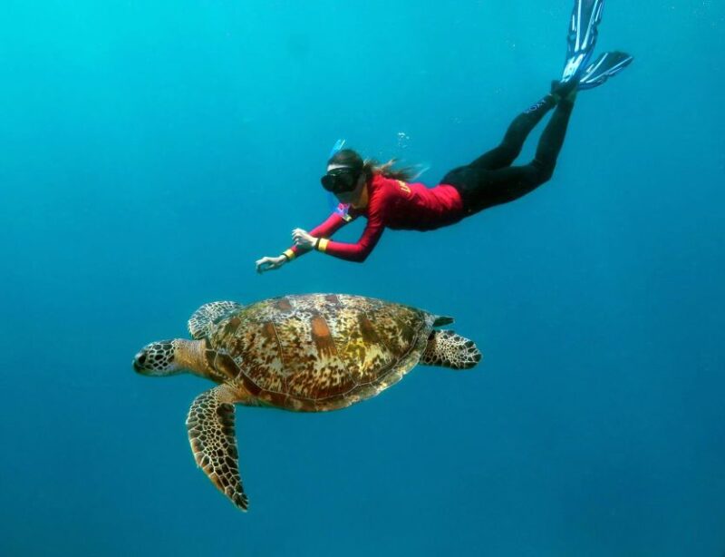 Port Douglas: Quicksilver Outer Barrier Reef Full-Day Cruise - Snorkeling the Coral Gardens