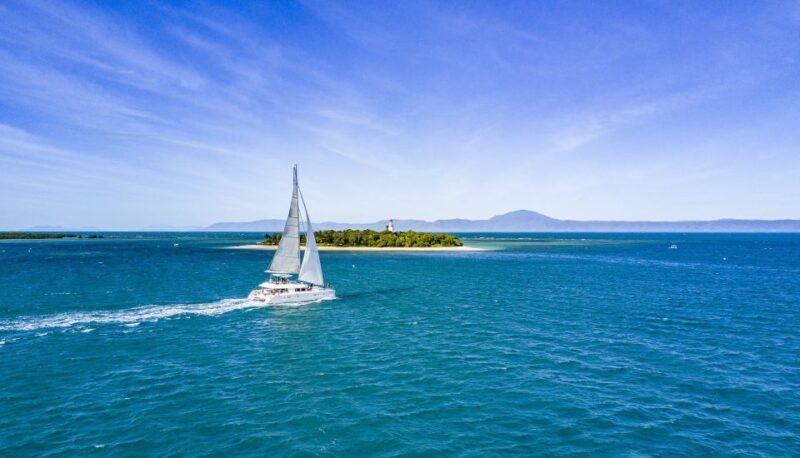 Port Douglas: Reef & Low Isles Cruise on Luxury Catamaran - Key Points