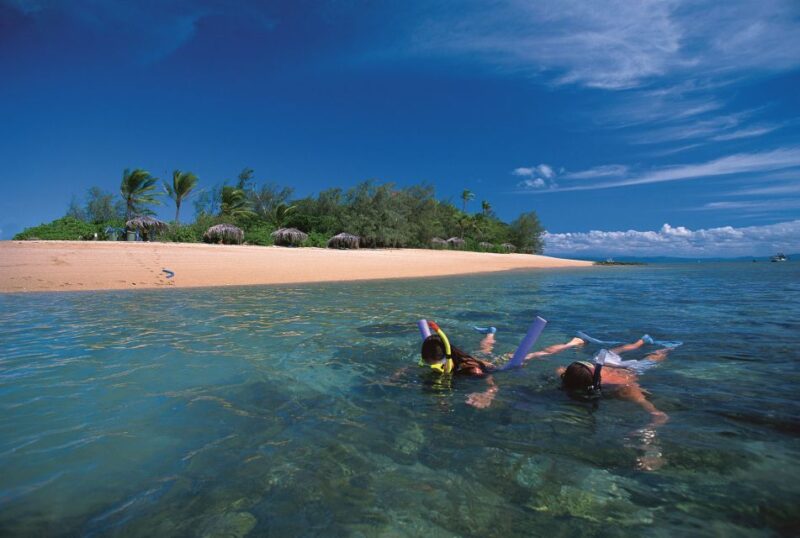 Port Douglas: Reef & Low Isles Cruise on Luxury Catamaran - Inclusions and Highlights