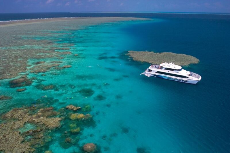Port Douglas: Silversonic Great Barrier Reef Dive & Snorkel - Activity Itinerary