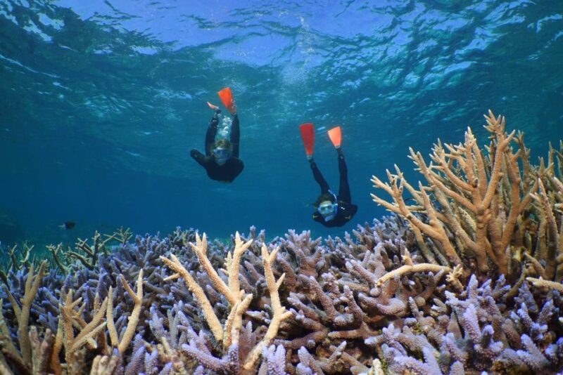 Port Douglas: Silversonic Great Barrier Reef Dive & Snorkel - Meeting Point Details