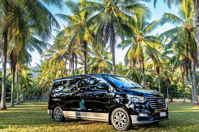 Port Douglas to/from Cairns RETURN TRIP Private Transfer 6 pax - Why Choose This Transfer?