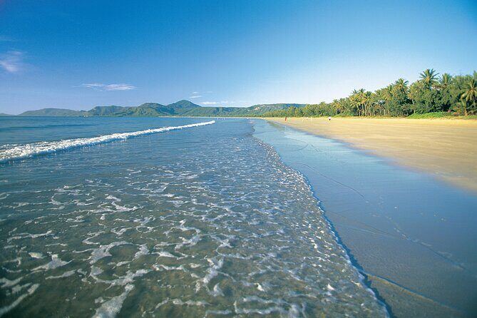 Port Douglas to/from Cairns RETURN TRIP Private Transfer 6 pax - The Sum Up