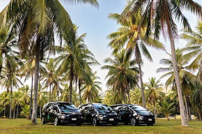 Port Douglas to Palm Cove ONE WAY Private Transfer 6 Pax - Key Points