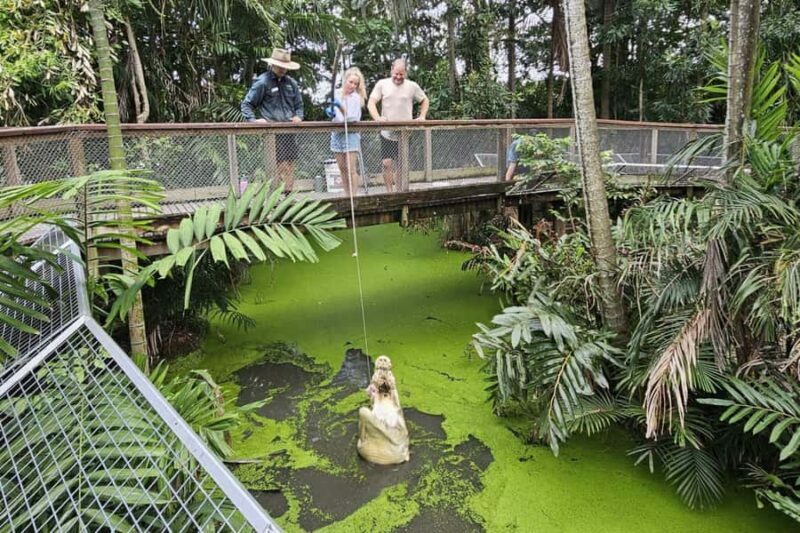 Port Douglas: Wildlife Habitat Croc Feed Experience & Entry - Why This Experience Offers Good Value