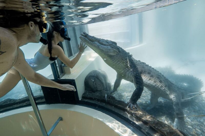 Port Douglas: Wildlife Habitat Swim With Crocodiles - Wildlife Habitats to Explore