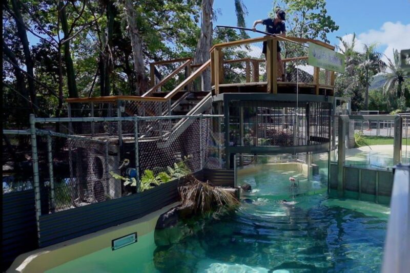 Port Douglas: Wildlife Habitat Swim With Crocodiles - Location and Getting There
